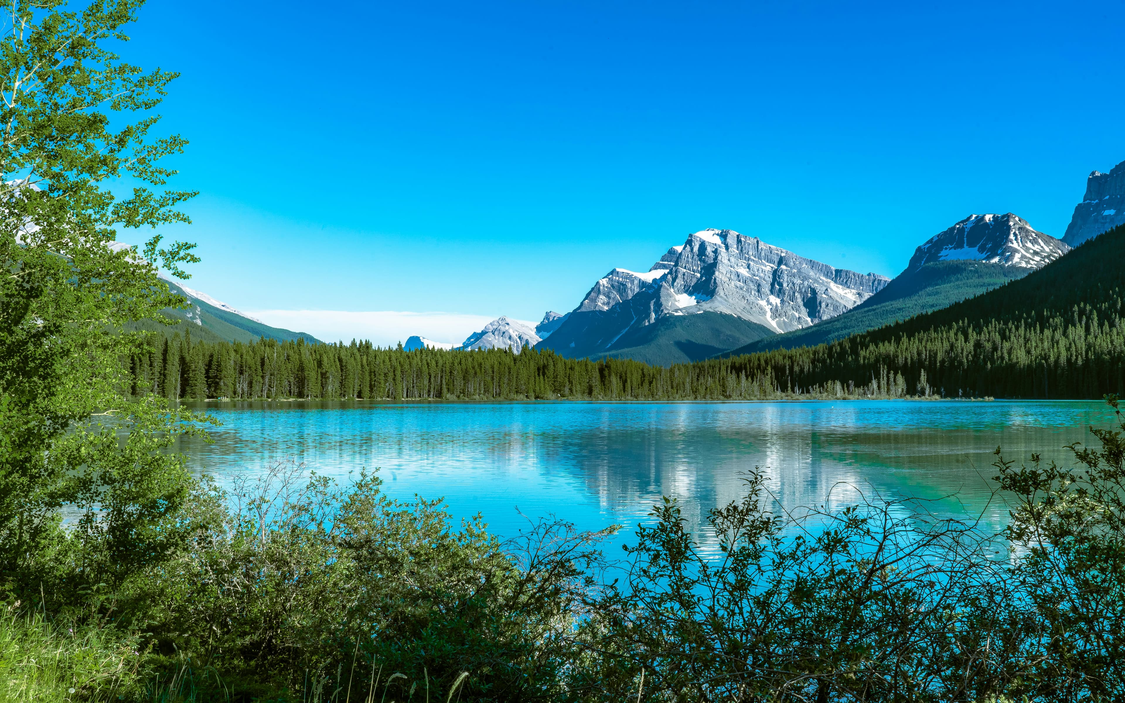 Image Quiz Mode Examples